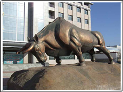 廣場開荒牛圖片 廣場開荒牛圖片